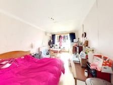 蔷薇新村非顶楼 朝南一室户 采光好 视野开阔