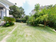 市府旁 独栋别墅 美林国际村 315平 随时签约