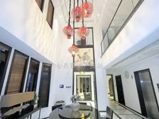 惠阳淡水南向精装别墅 7室3厅521平满五