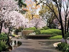 金茂满朝青板块王炸楼盘,金茂新一代科技住宅,六号线贯穿全城