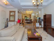 张江南 三轨交汇 法式联排别墅 干挂石材 带地下室 性价比高