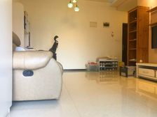 祺山品阁 有电梯 临地铁 精装可拎包入住 交通便捷 产权清晰