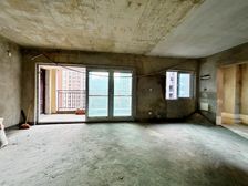 洋房 顶跃带大露台 微电园 金科天宸八街区 横厅大四房随时看