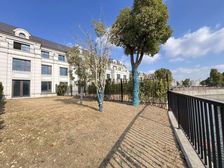 徐泾网红楼盘灿辉晶典 高端社区 高品质 南临河南花园300平