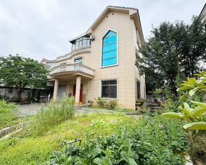 柳青街独栋别墅698万,房子上证395平,土地上证460平