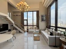 SS罕见超大挑高绝美复式纯纯景观房地铁好房采光刺眼