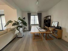 电梯复试送露台 买一层song一村 送产权车位 豪华装修