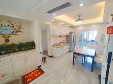 双卫格局 精装可拎包入住 小区新 出行方便 电梯房