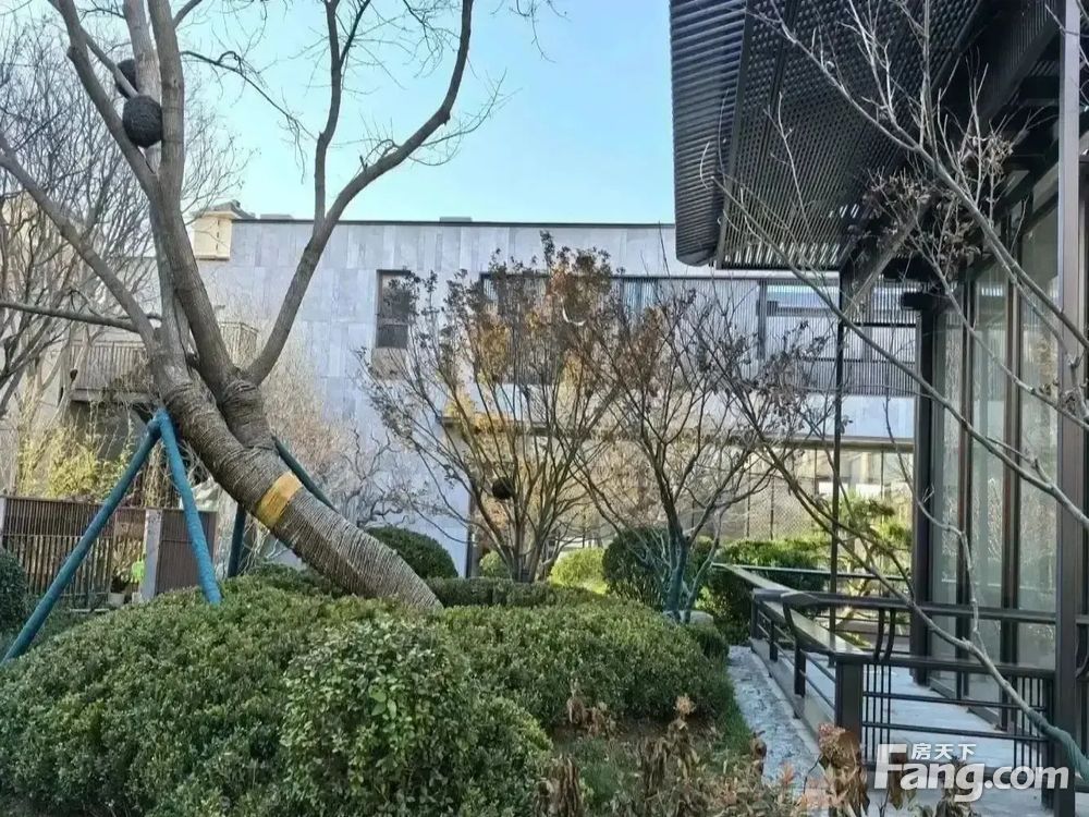 室内图