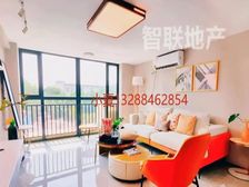 8号线磨碟沙站地铁口 港澳台可买 旺租5000 拎包入住