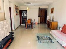 弹子石老街旁文韵江南大二房朝江