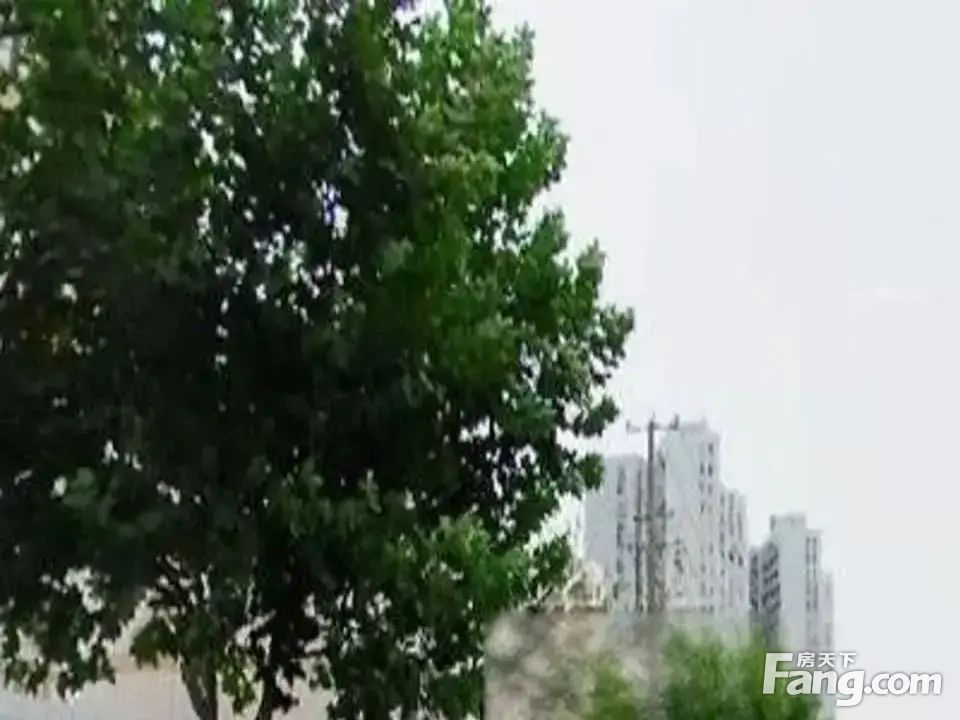 室内图
