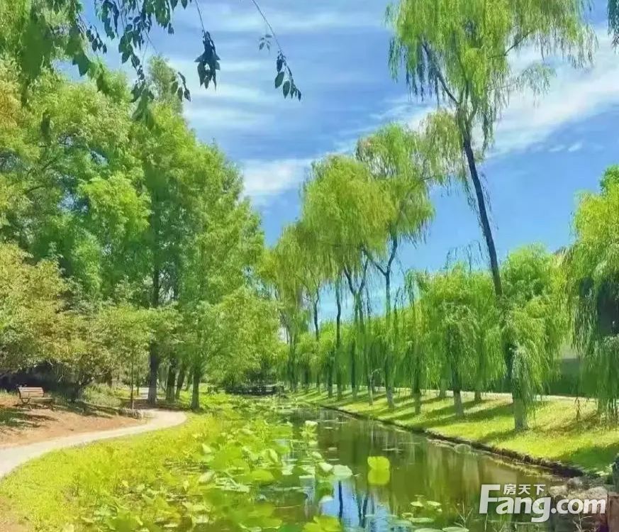 室内图