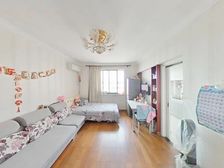 新上南北两房,位置楼层好,视野采光好,房东诚售好谈