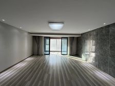 南湖畔 8号线地铁 金地天锦洋房大平层 一梯一户 带车位