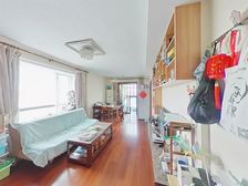 徐汇新城(公寓住宅) 大双南两房 居住密度低 交通便利