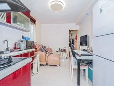 延新小区 商业配套齐全 楼层好 正规商品房 电梯房 满五