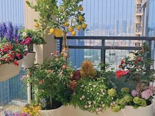 云山诗意 市中心笋盘 人医轻轨旁 业主置换大平层 2万上车!