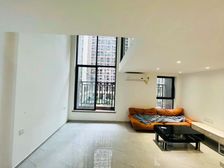 番禺大石 电梯房 精装修 1站长隆2站番禺万达 随时看房