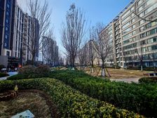 央企信达信钰林樾 精装洋房电梯独立入户