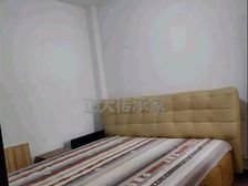 新桥国际佳苑 南向 精装两房 满二 看房方便