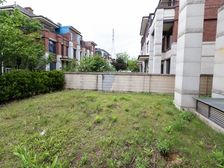 新华御湖上园 联排边户别墅 位置安静 C型大院子