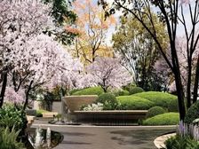 金茂满朝青板块王炸楼盘,金茂新一代科技住宅,六号线贯穿全城