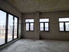 漠阳湖公园上叠墅,绿地小学旁,超大天台,房大厅大,南向户型