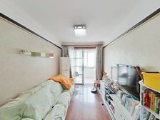 双(100 ),3房南北通,飞机户型,楼层好,低总价