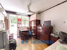 田林十二村1居27.59平南朝向视野开阔全明采光好