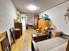 东苑小区(凉城二村) 1室1厅1卫 简单装修 165万元