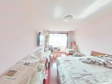 一套采光很好的南北2房 轨交4 12号线 带正规厅 配套成熟