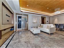 陶档 皮夹子 全景景观房!有车位!南看公园全貌!超大气横厅!