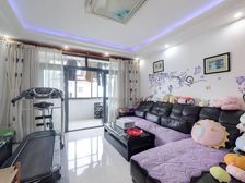 带电梯 精装修 动静分离 业主 随时可看 业主大甩卖