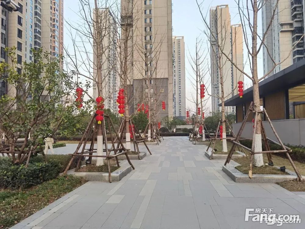 小区相关图