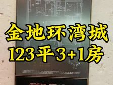 免用代理 福田 金地环湾城 新房 111-291平 带装修