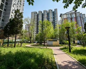 急售好房 牡丹园 都景苑 精装 高层 采光 六折上拍