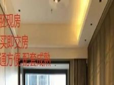 现房)总价278万买罗湖口岸一手现房两房,100米过关去香港