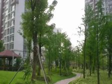 北九亭烫金地段 新上两房 三阳台 看房随时有密码