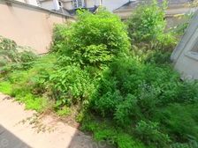 御园醉低价合院,南北花园,北入户南大花园