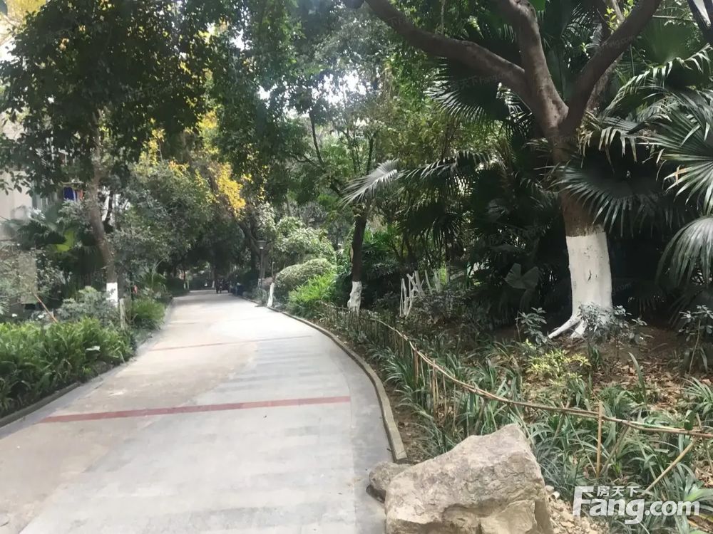 室内图