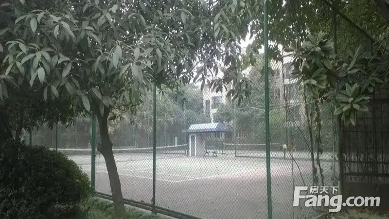 室内图