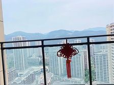 龙洲湾组团 大四房 来电少5 (保真)