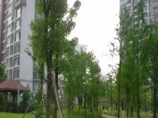 北九亭烫金地段 新上两房 三阳台 看房随时有密码