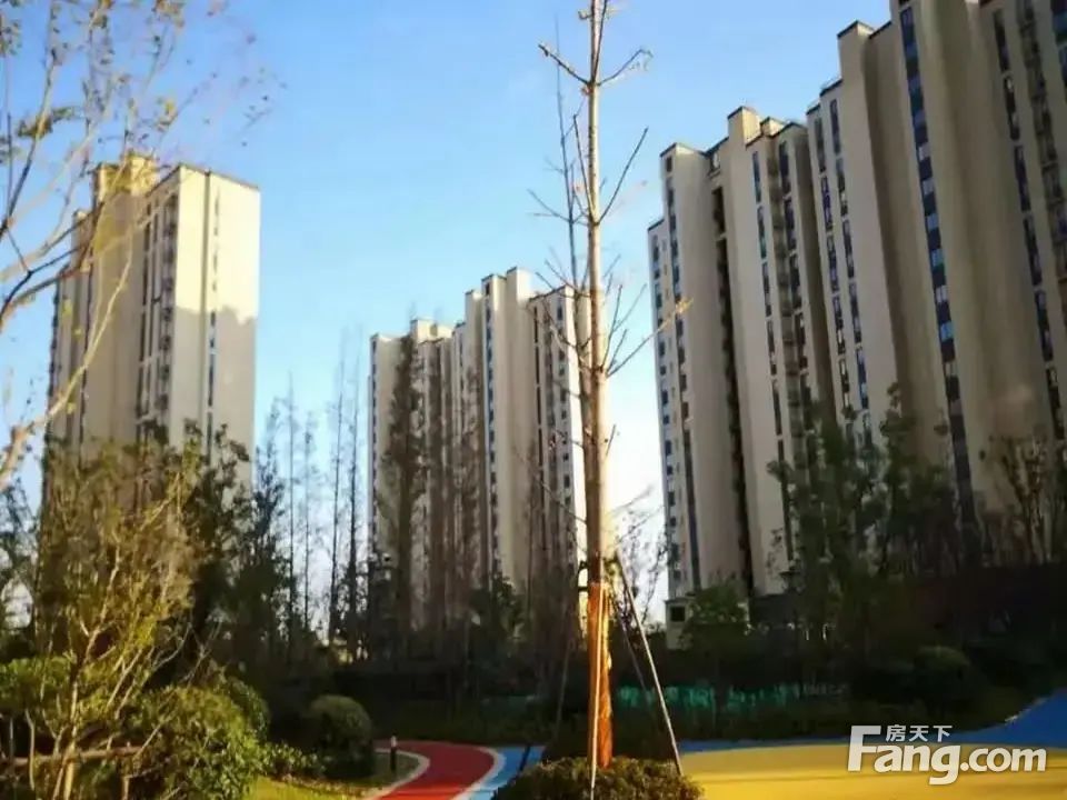 室内图