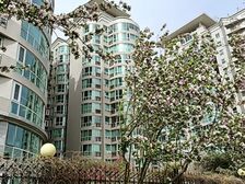 好房推荐 雍和家园 南北 精装 大三居 六折上拍