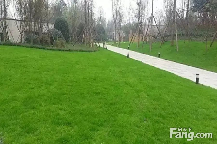 室内图