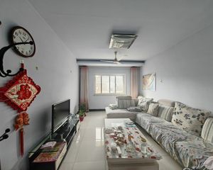 落桃城 商场旁后期好出租 带露台 天正 益友新居