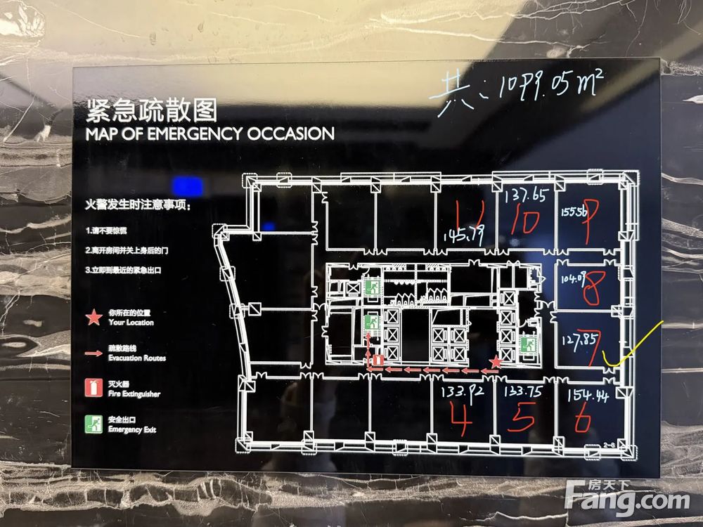 平面图