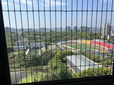潇湘豪庭 坐在家里看湘超 俯视潇湘公园 出行方便